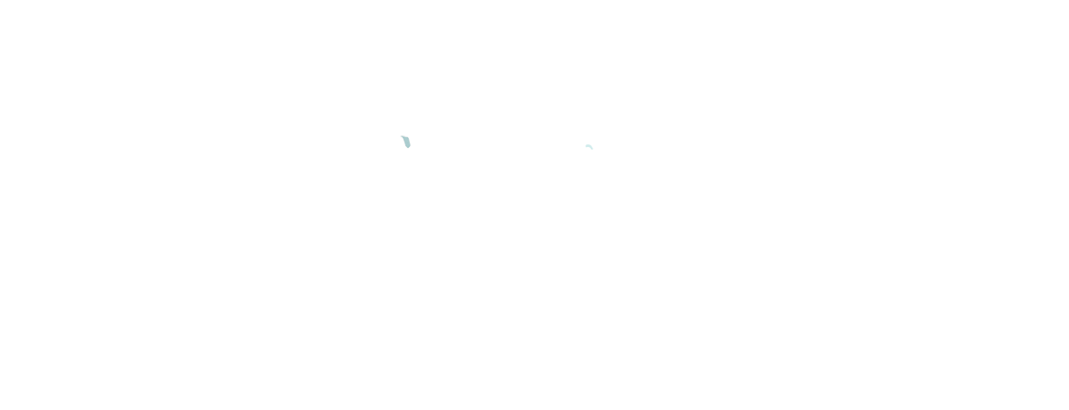 Color Overlay 8473