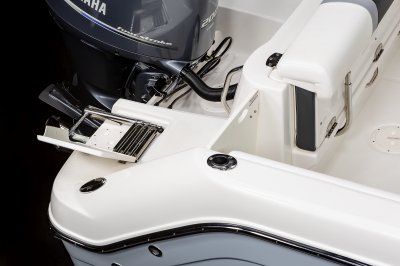 2025 R222 Swim Platform Ladder