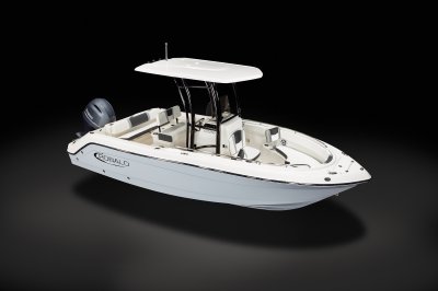 2025 R222 F3Q