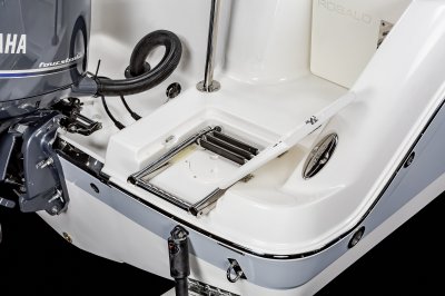 2025 R222EX Swim Platform Ladder