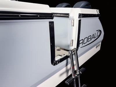 R250 - Side Entry Door Ladder