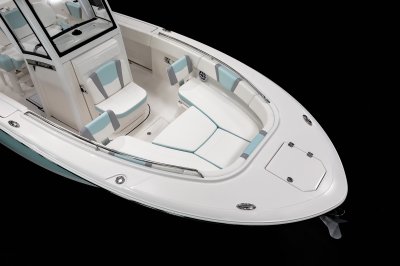 2027 R250 Bow Cushion