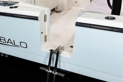2025 R360 Side Entry Door Ladder