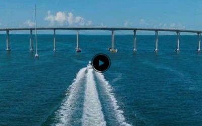 246 Cayman SD (2026)